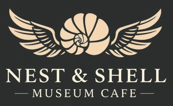 Nest & Shell Museum Cafe